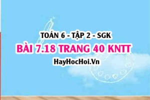 Bài 7.18 trang 40 Toán 6 Tập 2 Kết nối tri thức